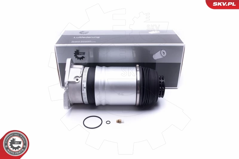 Air Suspension Strut